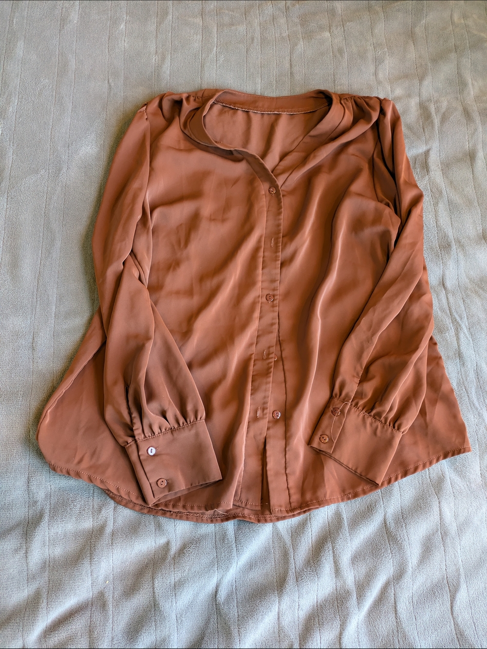 Womens Sheer Long-Sleeve Button Front Blouse